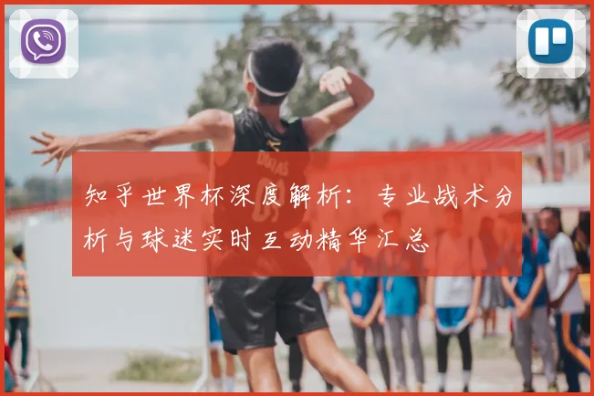 知乎世界杯深度解析：专业战术分析与球迷实时互动精华汇总